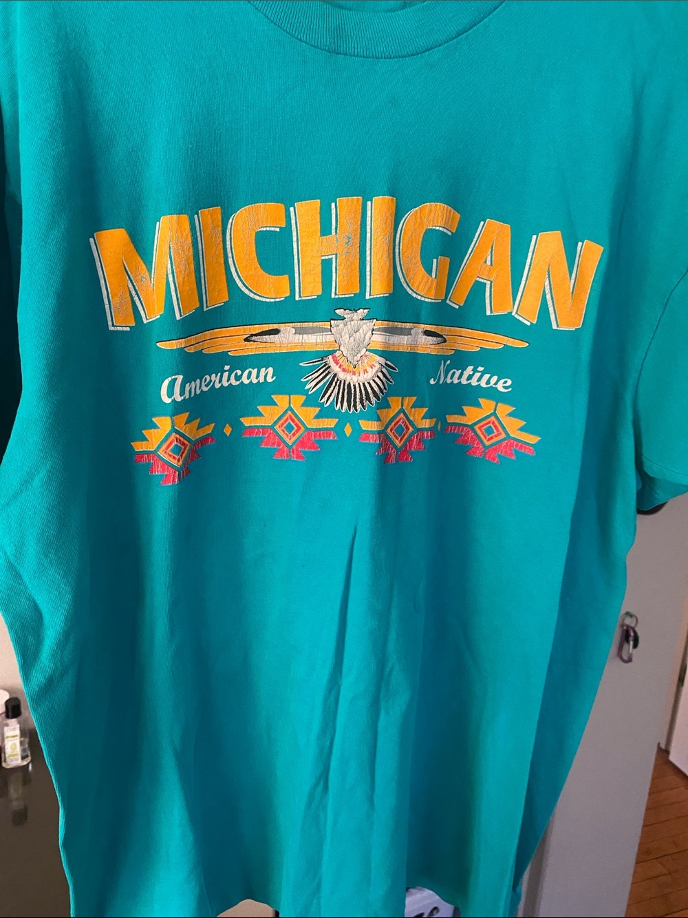 Michigan Graphic Teal Men's T-Shirt